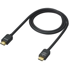 ＊兆華國際＊ SONY DLC-HX10 高階高速 HDMI 連接線 支援乙太網路 索尼公司貨