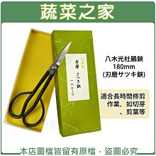 【蔬菜之家滿額免運009-UB1】八木光杜鵑鋏180mm(刃磨サツキ鋏)(日本進口)※此商品運費請選宅配※