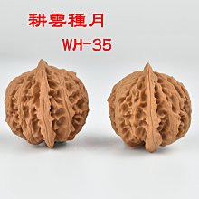 商品縮圖-4