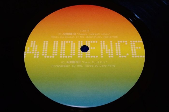 濱崎步 AUDIENCE 2000年日本限定混音黑膠LP