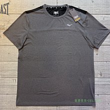 塞爾提克~美國EVERLAST 男生 運動T恤 短袖衣服 吸濕快排 彈性速乾 背部異接 灰色