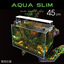 微笑的魚水族☆ISTA-伊士達【高透光LED水草燈1.5尺(45cm)】高亮度 混光 水草 IL-528【R45008】