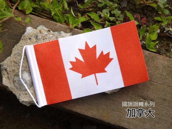 【衝浪小胖】加拿大國旗旗幟/國旗/國家/徽章/獎章/紀念/Canada/各國均有販售