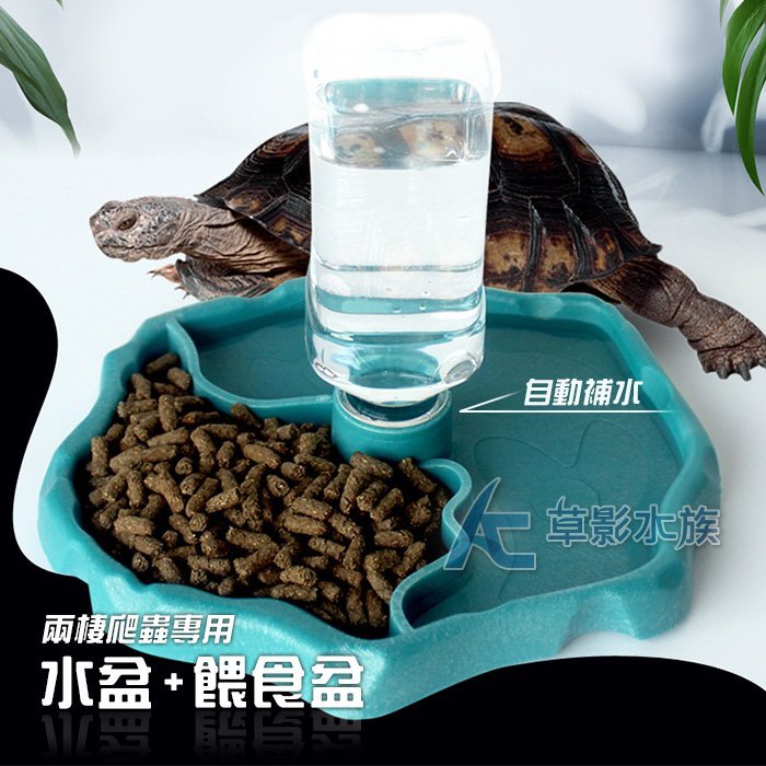 【AC草影】兩棲爬蟲專用 水盆+餵食盆（夜光白）【一個】