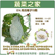 【蔬菜之家滿額免運】G14.南瓜種子15顆(葉大莖粗，生長勢強旺結果多，果實木瓜型，果面平滑有黃藍色不規則斑紋，果肉金黃