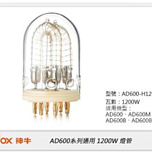 ☆閃新☆GODOX 神牛AD600-1200W燈頭專用1200W 燈管(公司貨)AD600-H1200BFT