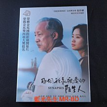 [DVD] - 那個我最親愛的陌生人 Synapses ( 得利正版 )