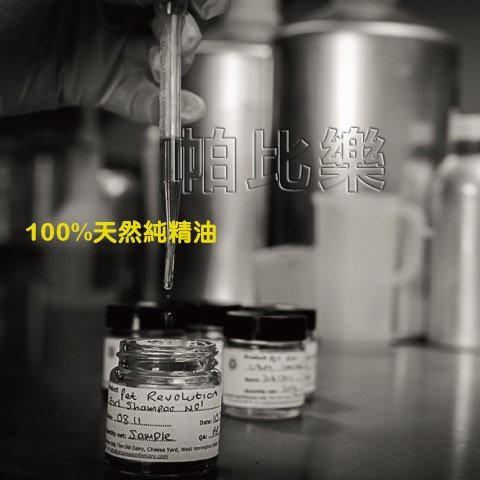 帕比樂-英國 WildWash 寵物系列－蟲蟲怕怕洗毛精(犬用)250ml 洗劑 100%天然純精油