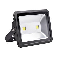 【燈王的店】LED 100W 泛光型戶外投射燈 全電壓 白光6000K/暖白光3000K TYL813B-100W