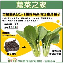 【蔬菜之家滿額免運00A95-1】大包裝.頂好特高清江白菜種子 35克(約10500顆)