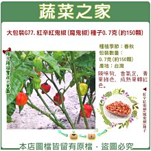 【蔬菜之家滿額免運00G77】大包裝.紅辛紅鬼椒(魔鬼椒)種子0.7克(約150顆)※此商品不適用郵寄掛號※