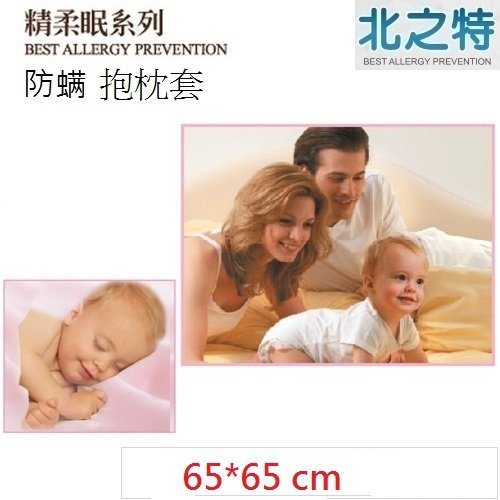 【北之特】防螨寢具_抱枕套_E3精柔眠_ (65*65 cm)