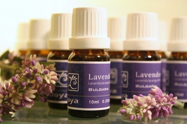 《Doya朵漾香氛館》 醒目薰衣草Lavender 純精油100ML