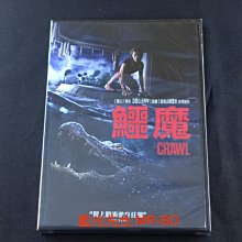 [藍光先生DVD] 鱷魔 Crawl ( 得利正版 )