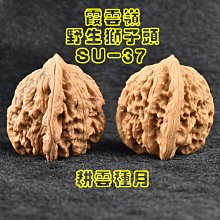 商品縮圖-2