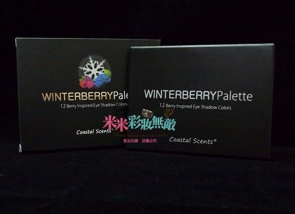 【米米彩妝無敵】美國原裝Coastal Scents 12色眼影盤 Winterberry Palette