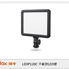 ☆閃新☆GODOX 神牛 LEDP120C 116顆LED 可調色溫 攝影燈 平板型 補光燈(LED 120,公司貨)