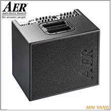 【民揚樂器】德國原聲木吉他音箱 AER DOMINO2.A 100W 4 INPUT 民謠吉他音箱