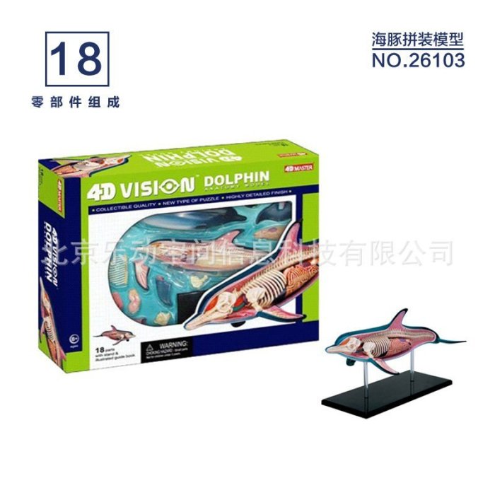 BOxx潮玩~4D MASTER 動物解剖拼裝模型 海洋生物教具 海豚26103