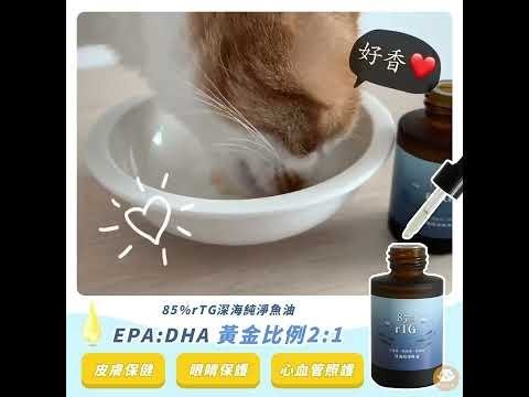 【🐱🐶培菓寵物48H出貨🐰🐹】ParkCat 85% 高純度 rTG 貓樂園 魚油 保健食品 皮毛保健 心血管