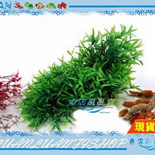 【魚店亂亂賣】超逼真青柳葉草(假水草)仿真水草.擬真水草(免CO2一樣翠綠)造景飾品2920