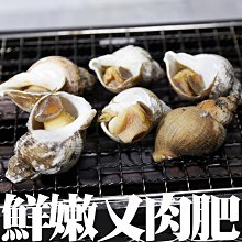 ㊣盅龐水產◇(翡翠牌)熟凍海螺50/80◇重量1kg±5%/包◇零$320/包◇Q彈韌勁 肉質肥厚 歡迎零售團購批發