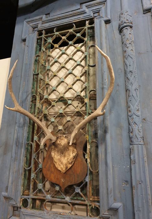 【卡卡頌 歐洲古董】🦌德國老件~  個性  真鹿角  動物  標本  頭骨  掛飾  Deco ss0620 ✬