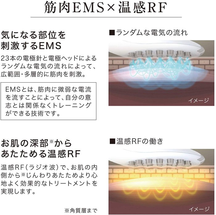 (可議價!)【AVAC】現貨日本~ATEX AX-KXL5260 美體按摩儀  國際電壓 日本製