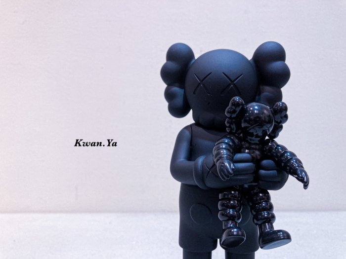 kaws family companion bff ddtstore bearbrick holiday 村上隆 小泉悟