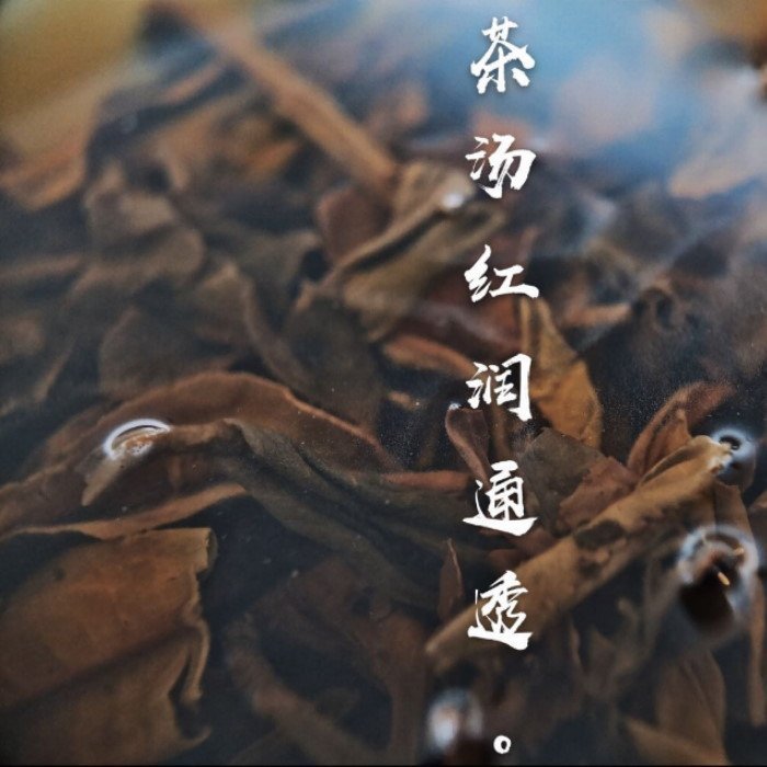 [茶太初] 2004年 國營茶廠  普秀 柏木林千年古樹茶 357克 生茶 - 低價起標 無加購