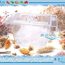 【魚店亂亂賣】LUANFISHOP內置飼育箱S(有上蓋)隔離箱.繁殖箱.產子箱(散裝無盒)