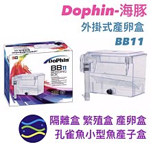 微笑的魚水族☆Dophin-海豚【外掛式產卵盒BB11】隔離盒 繁殖盒 產卵盒 孔雀魚小型魚產子盒 飼育箱 KW