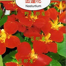 【野菜部屋~】Y74 金蓮花Nasturtium~~天星牌原包裝種子~每包17元~