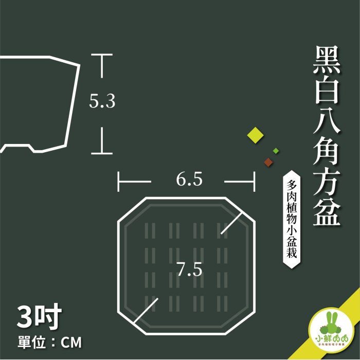 【小鮮肉肉】植栽八角盆 3吋 黑白兩色 塑膠加厚 多肉 栽培盆 花盆 八角盆