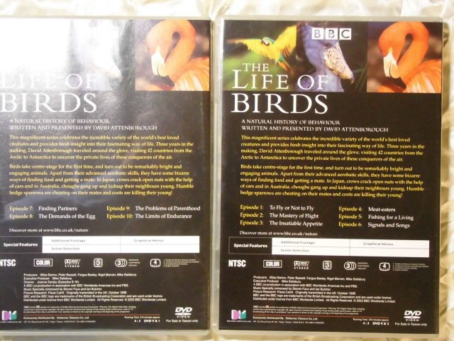 BBC 野鳥世界 The Life of Birds 3DVD