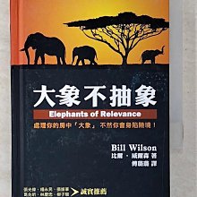 【書寶二手書T1／宗教_CJX】大象不抽象_比爾．威爾森, 傅璐璐