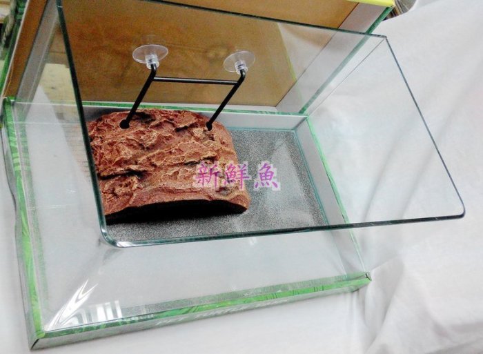 自取~新鮮魚水族館~實體店面 台灣MIT 烏龜缸 魚缸 ㄇ型玻璃缸 空缸+底墊 尺寸:約 40*25*22公分