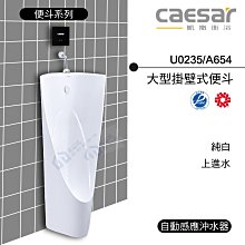 附發票 含稅 CAESAR凱撒 大型掛壁式便斗/上進水 U0235/A654 純白《中部免運》【東益氏】