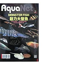 微笑的魚水族☆AquaNet (5) 魅力大型魚--展新文化出版【工具書】