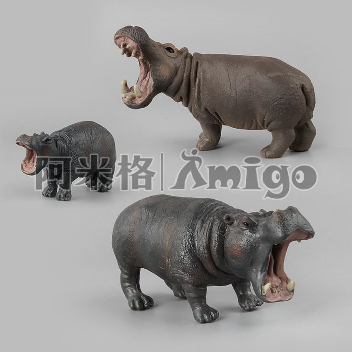 阿米格Amigo│一套5款 河馬 hippo 仿真動物模型 科教 教學 公仔 擺設 玩具 兒童 幼兒 禮物