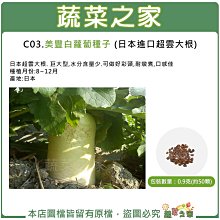 【蔬菜之家滿額免運】C03.美豐白蘿蔔種子0.9克(約50顆)(超雲大根.巨大型,水分含量少.耐燉煮,口感佳)根莖類種子