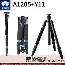 【數位達人】思銳 SIRUI A1205+Y11 8X 碳纖維旅遊腳架/ 收納長度37cm