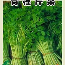【野菜部屋~】P02青種芹菜種子6公克(約15000粒) , 品質優 , 香味濃 , 每包15元~