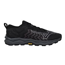 MIZUNO WAVE DAICHI 8 GTX 男慢跑鞋-WIDE(免運 GORE-TEX 慢跑 黃金大底 美津濃「J1GJ245701」≡排汗專家≡