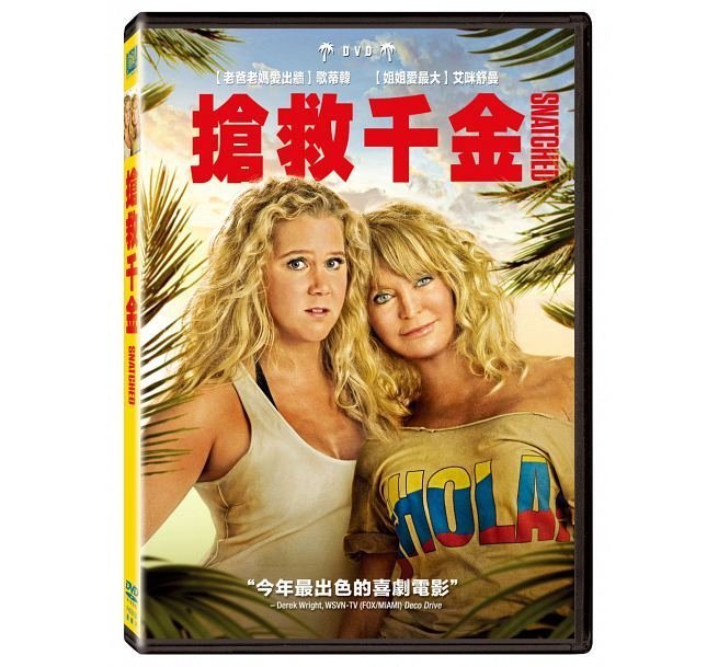 合友唱片 面交 自取 搶救千金 (DVD) SNATCHED