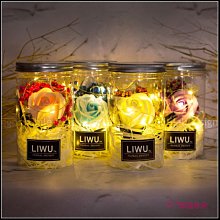 LIWU凡爾賽花園 滿天星 乾燥花罐 (發光瓶4色可挑．附贈提袋及小卡)F001 伴娘禮 生日禮物