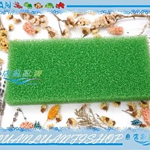 【~魚店亂亂賣~】綠色厚培菌多孔生化棉-短(22×12×4cm)上部滴流、上部三層過濾槽、便當盒