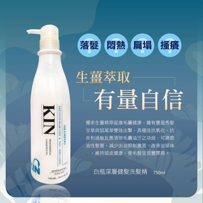 現貨👍 KIN 還原酸蛋白 大瓶750ml 保濕護色/長效控油/深層健髮洗髮精/還原護髮素   公司貨！