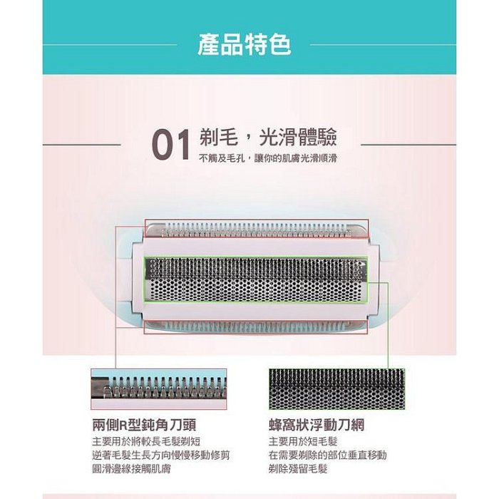 【精鋼刀頭 安全不傷膚】線修剪 無痛除毛刀 貝殼造型 私密處刮刀 修容刀 脫毛機 除毛機除毛器雅雅百貨館-