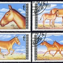 (8 _ 8)~-蒙古郵票--1988年--珍稀動物--亞洲野驢-- 4 全-蒙古外銷票--外拍奇66M027